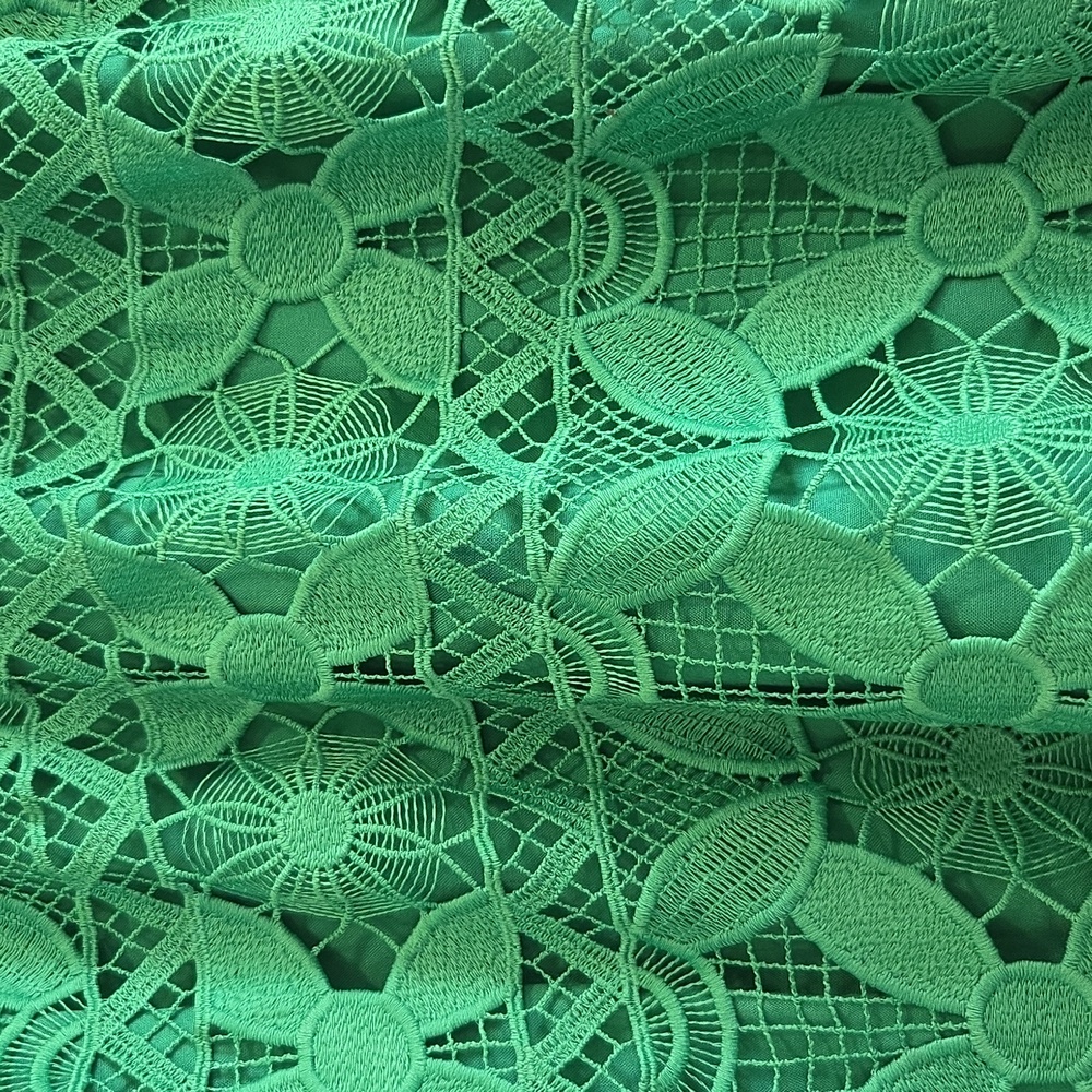 Anthropologie Green Lace Shift Dress - Picture 6 of 8